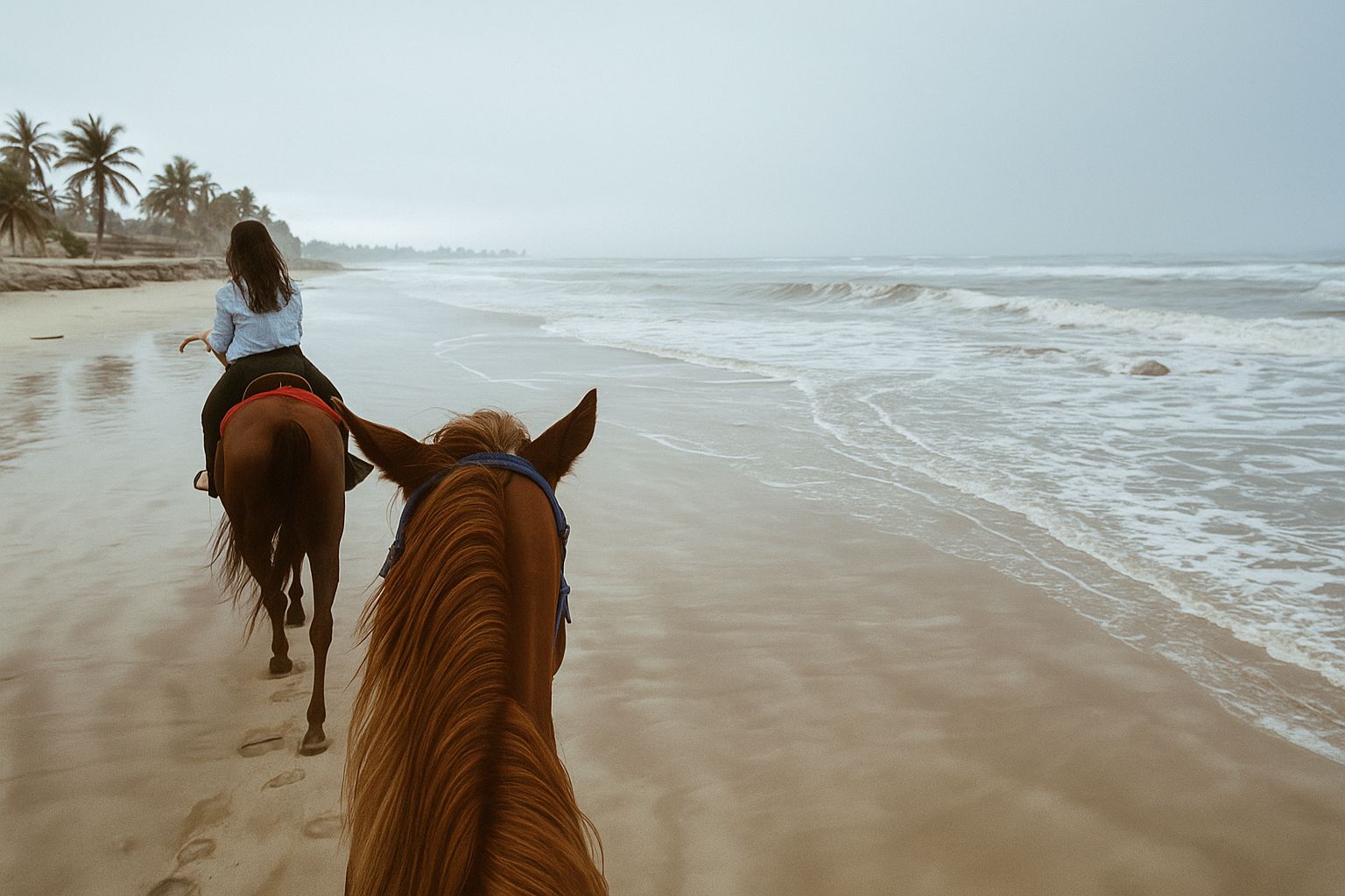 Thrilling Activities